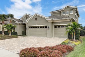 8206 WATER COLOR DRIVE, LAND O LAKES, FL 34638 - MLS#MFRTB8459337