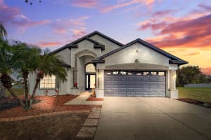 2853 TRINITY COTTAGE DRIVE, LAND O LAKES, FL 34638 - MLS#MFRTB8459374