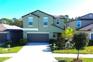 2058 STELLAR BRILLIANCE WAY, LUTZ, FL 33558 - MLS#MFRTB8459415