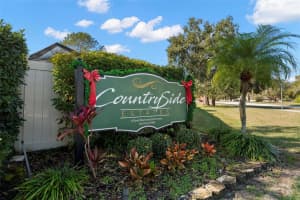 2991 PINEWOOD RUN, PALM HARBOR, FL 34684 - MLS#MFRTB8459434