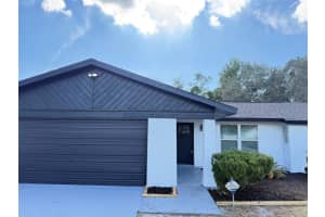 4107 DENAGE COURT, BRANDON, FL 33511 - MLS#MFRTB8459454