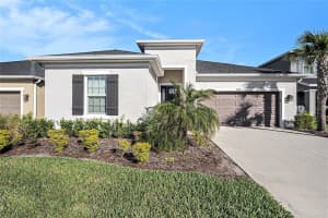 33410 CASTAWAY LOOP, WESLEY CHAPEL, FL 33543 - MLS#MFRTB8459472