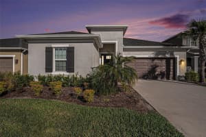 33410 CASTAWAY LOOP, WESLEY CHAPEL, FL 33543 - MLS#MFRTB8459472