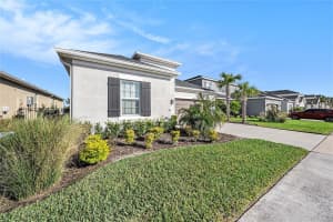 33410 CASTAWAY LOOP, WESLEY CHAPEL, FL 33543 - MLS#MFRTB8459472