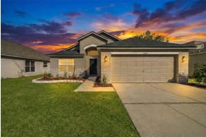 24425 SUMMER WIND COURT, LUTZ, FL 33559 - MLS#MFRTB8459494