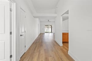 24425 SUMMER WIND COURT, LUTZ, FL 33559 - MLS#MFRTB8459494