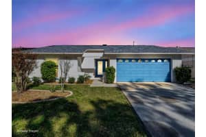 2349 HOMESTEAD TERRACE, PALM HARBOR, FL 34683 - MLS#MFRTB8459506