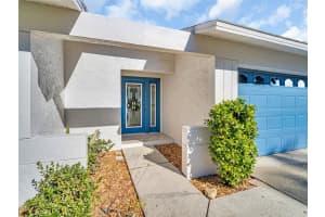 2349 HOMESTEAD TERRACE, PALM HARBOR, FL 34683 - MLS#MFRTB8459506