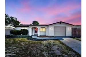 1242 Viking Dr, HOLIDAY 1242 Viking Dr, HOLIDAY