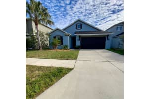 16355 Hyde Manor Dr, TAMPA