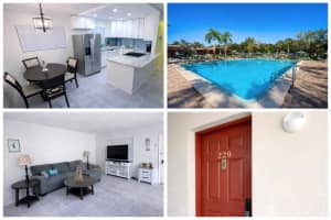 MLS# MFRTB8459539, Palm Harbor, Florida 34683