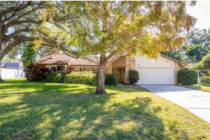 1589 Ridge Top Way, CLEARWATER 1589 Ridge Top Way, CLEARWATER