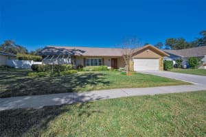 2949 GLENPARK ROAD, PALM HARBOR, FL 34683 - MLS#MFRTB8459644