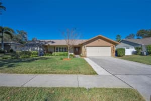 2949 GLENPARK ROAD, PALM HARBOR, FL 34683 - MLS#MFRTB8459644