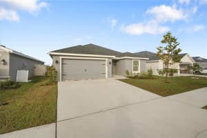 12367 MARSHLAND STREET, RIVERVIEW, FL 33569 - MLS#MFRTB8459656