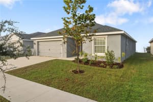 12367 MARSHLAND STREET, RIVERVIEW, FL 33569 - MLS#MFRTB8459656
