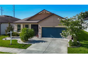 11703 Brighton Knoll Loop, RIVERVIEW