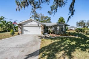 9814 REYLINDA AVENUE, THONOTOSASSA, FL 33592 - MLS#MFRTB8459733