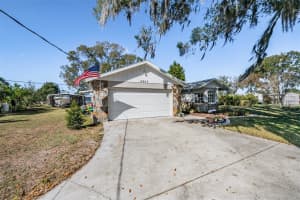 9814 REYLINDA AVENUE, THONOTOSASSA, FL 33592 - MLS#MFRTB8459733