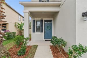 21462 WISTFUL YEARN DRIVE, LAND O LAKES, FL 34637 - MLS#MFRTB8459739