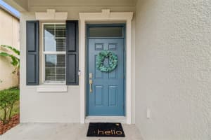 21462 WISTFUL YEARN DRIVE, LAND O LAKES, FL 34637 - MLS#MFRTB8459739