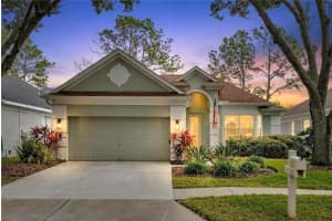 9308 HUNTINGTON PARK WAY, TAMPA, FL 33647 - MLS#MFRTB8459759