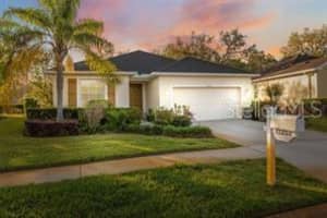 11254 MOLLYMAWK COURT, NEW PORT RICHEY, FL 34654 - MLS#MFRTB8459762