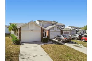 3121 BEECHER DRIVE, PALM HARBOR, FL 34683 - MLS#MFRTB8459784