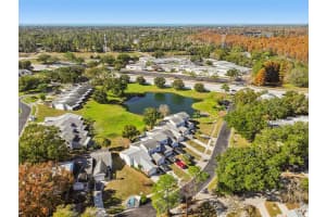 3121 BEECHER DRIVE, PALM HARBOR, FL 34683 - MLS#MFRTB8459784