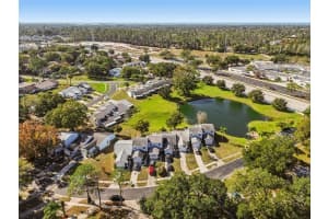 3121 BEECHER DRIVE, PALM HARBOR, FL 34683 - MLS#MFRTB8459784