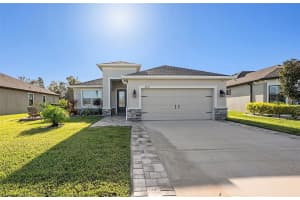 19772 PRESERVATION WOODS DRIVE, LUTZ, FL 33548 - MLS#MFRTB8459797