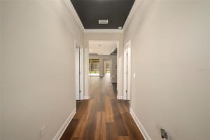 19772 PRESERVATION WOODS DRIVE, LUTZ, FL 33548 - MLS#MFRTB8459797