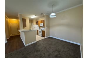 18575 BRIDLE CLUB DRIVE, TAMPA, FL 33647 - MLS#MFRTB8459824