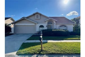 11418 GLENMONT DRIVE, TAMPA, FL 33635 - MLS#MFRTB8459844