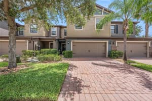 17288 OLD TOBACCO ROAD, LUTZ, FL 33558 - MLS#MFRTB8459892
