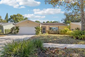2329 E Orangehill Ave, PALM HARBOR