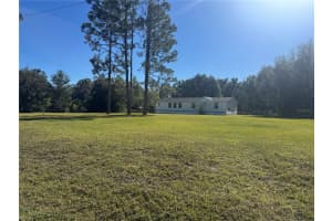 31326 TYNDALL ROAD, WESLEY CHAPEL, FL 33545 - MLS#MFRTB8459927