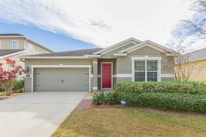11241 SPRING POINT CIRCLE, RIVERVIEW, FL 33579 - MLS#MFRTB8459934