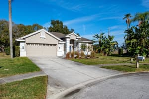 438 EQUINE DRIVE, TARPON SPRINGS, FL 34688 - MLS#MFRTB8459966