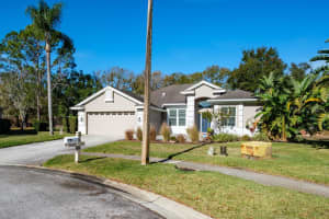 438 EQUINE DRIVE, TARPON SPRINGS, FL 34688 - MLS#MFRTB8459966