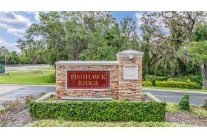 5886 FISHHAWK RIDGE DRIVE, LITHIA, FL 33547 - MLS#MFRTB8460010