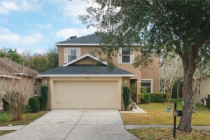9446 LEATHERWOOD AVENUE, TAMPA, FL 33647 - MLS#MFRTB8460162