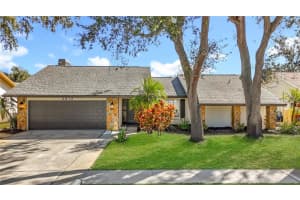 2513 FRISCO DRIVE, CLEARWATER, FL 33761 - MLS#MFRTB8460180