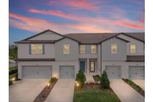 31428 AMBERVIEW BEND, WESLEY CHAPEL, FL 33545 - MLS#MFRTB8460194