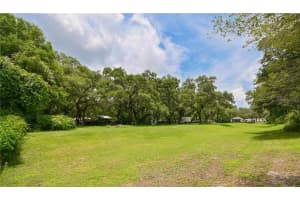 3418 SANDY DRIVE, ZEPHYRHILLS, FL 33541 - MLS#MFRTB8460199