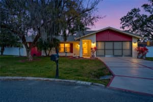 23209 BLUE RIDGE PLACE, LAND O LAKES, FL 34639 - MLS#MFRTB8460211