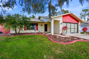 23209 BLUE RIDGE PLACE, LAND O LAKES, FL 34639 - MLS#MFRTB8460211