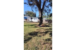 817 OHIO AVENUE, PALM HARBOR, FL 34683 - MLS#MFRTB8460217