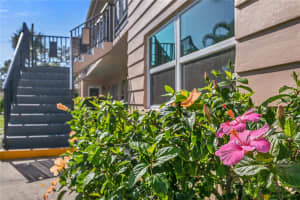 216 36TH AVENUE, ST PETERSBURG, FL 33704 - MLS#MFRTB8460291