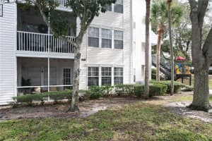 3301 HAVILAND COURT, PALM HARBOR, FL 34684 - MLS#MFRTB8460309